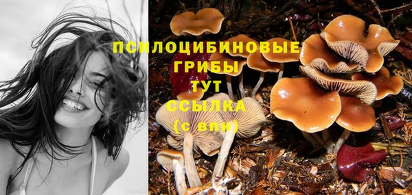 гашик Ладушкин