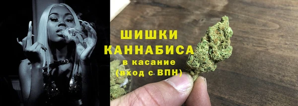 гашик Ладушкин