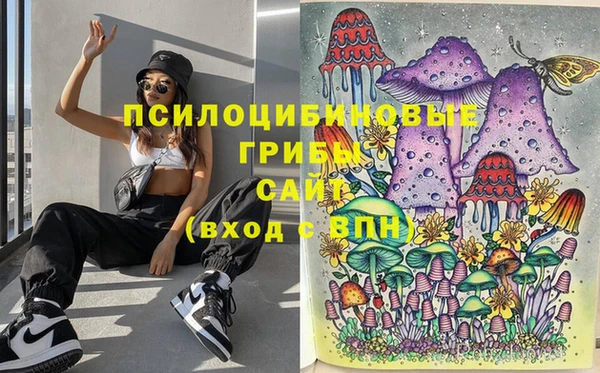 гашик Ладушкин