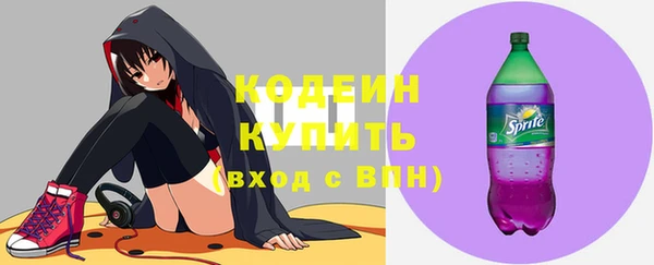 гашик Ладушкин