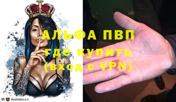 гашик Ладушкин