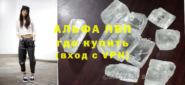гашик Ладушкин