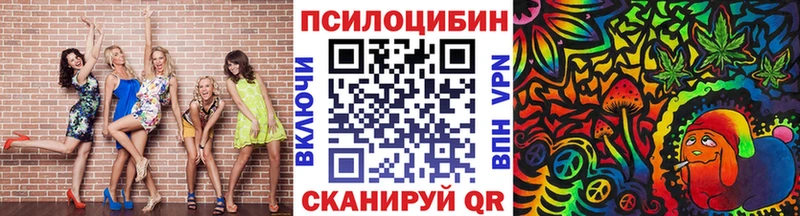 Купить закладки  Курчалой  Псилоцибиновые грибы мухоморы 